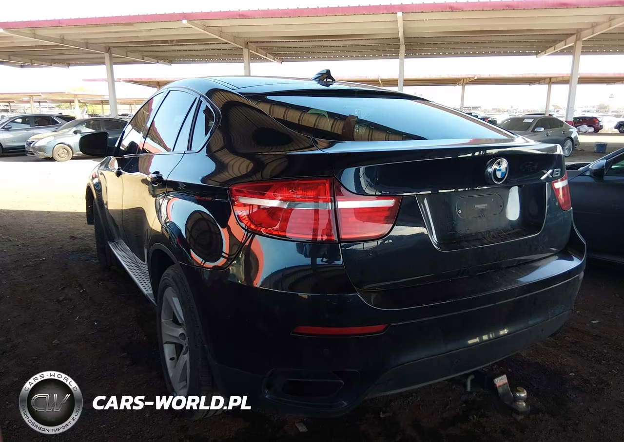 2013 BMW X6 xDrive50I VIN:5UXFG8C58DL591340 - 3