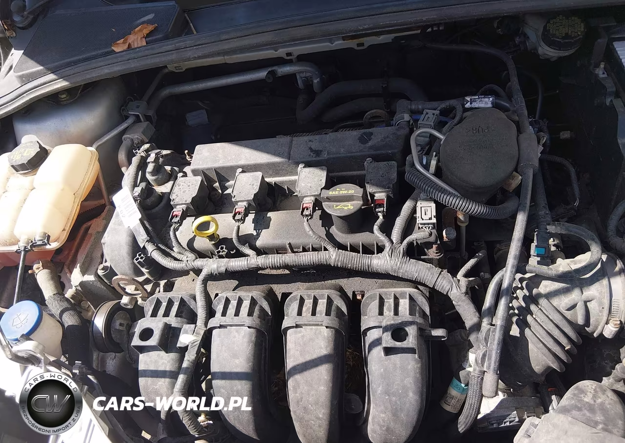2014 Ford Focus Se VIN:1FADP3F21EL176980 - 10