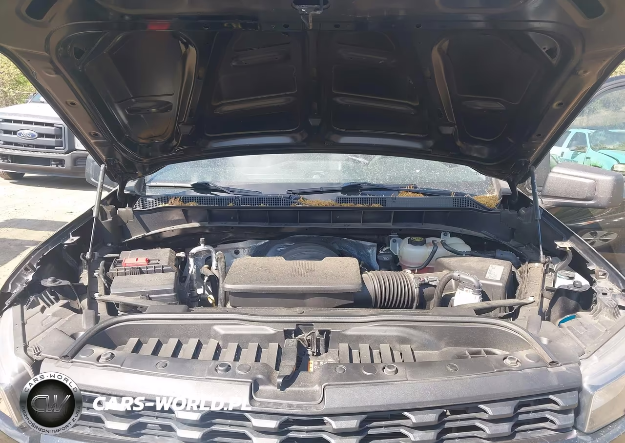 2019 Chevrolet Silverado 1500 Custom Trail Boss VIN:1GCPYCEF9KZ263172 - 10