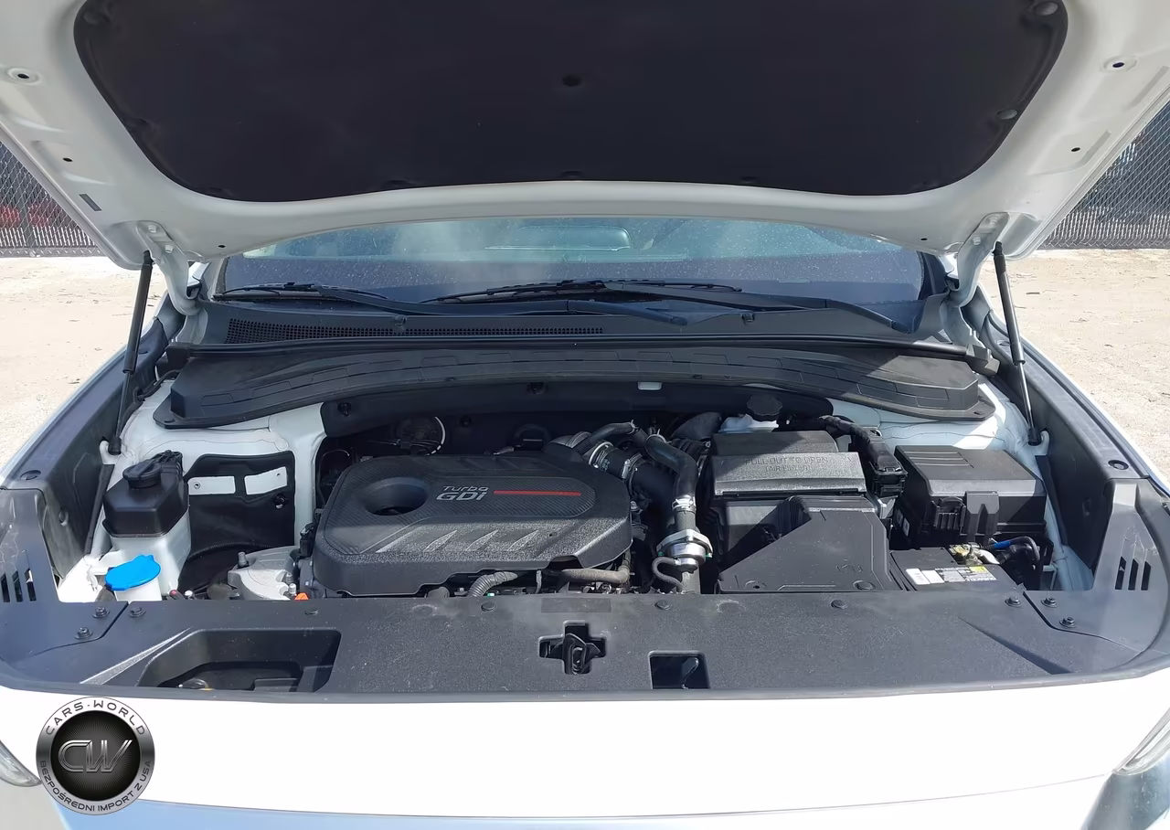 2019 Hyundai Santa Fe Limited 2.0T VIN:5NMS53AA6KH055848 - 10