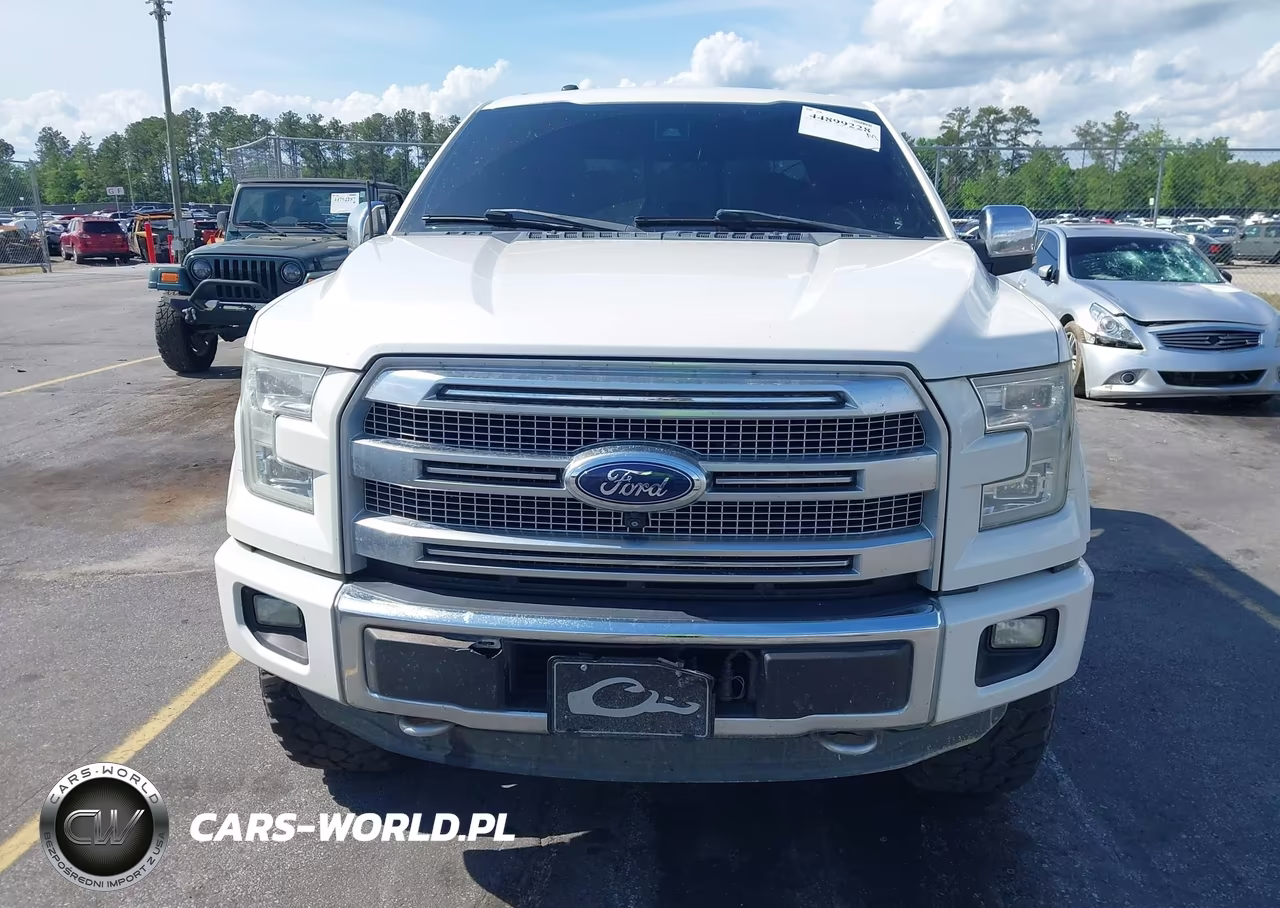 2015 Ford F-150 Platinum VIN:1FTEW1EG0FFA92121 - 12