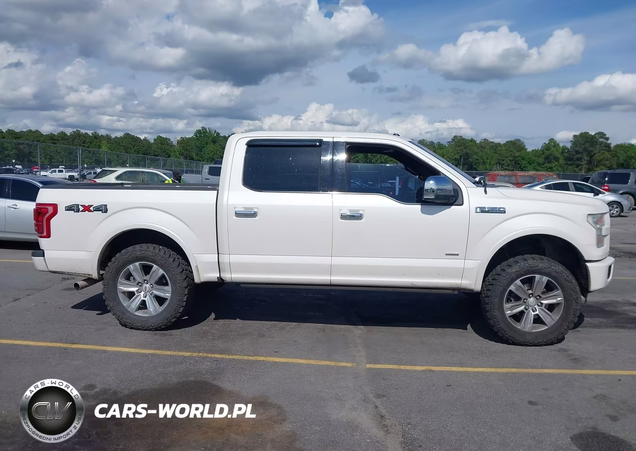 2015 Ford F-150 Platinum VIN:1FTEW1EG0FFA92121 - 13