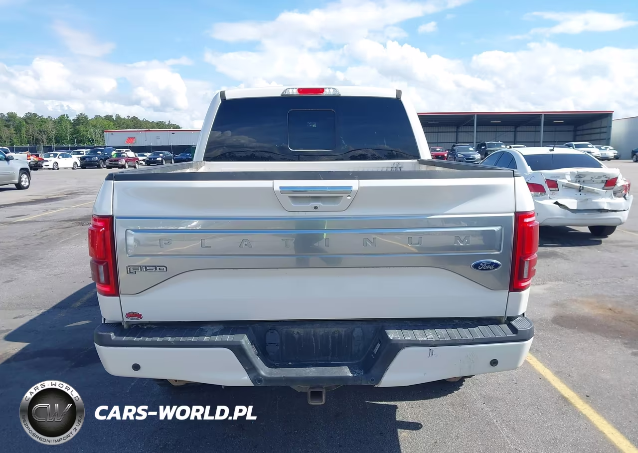 2015 Ford F-150 Platinum VIN:1FTEW1EG0FFA92121 - 16