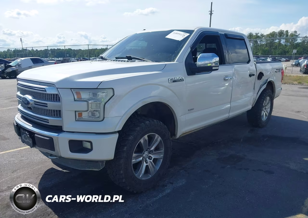 2015 Ford F-150 Platinum VIN:1FTEW1EG0FFA92121 - 2