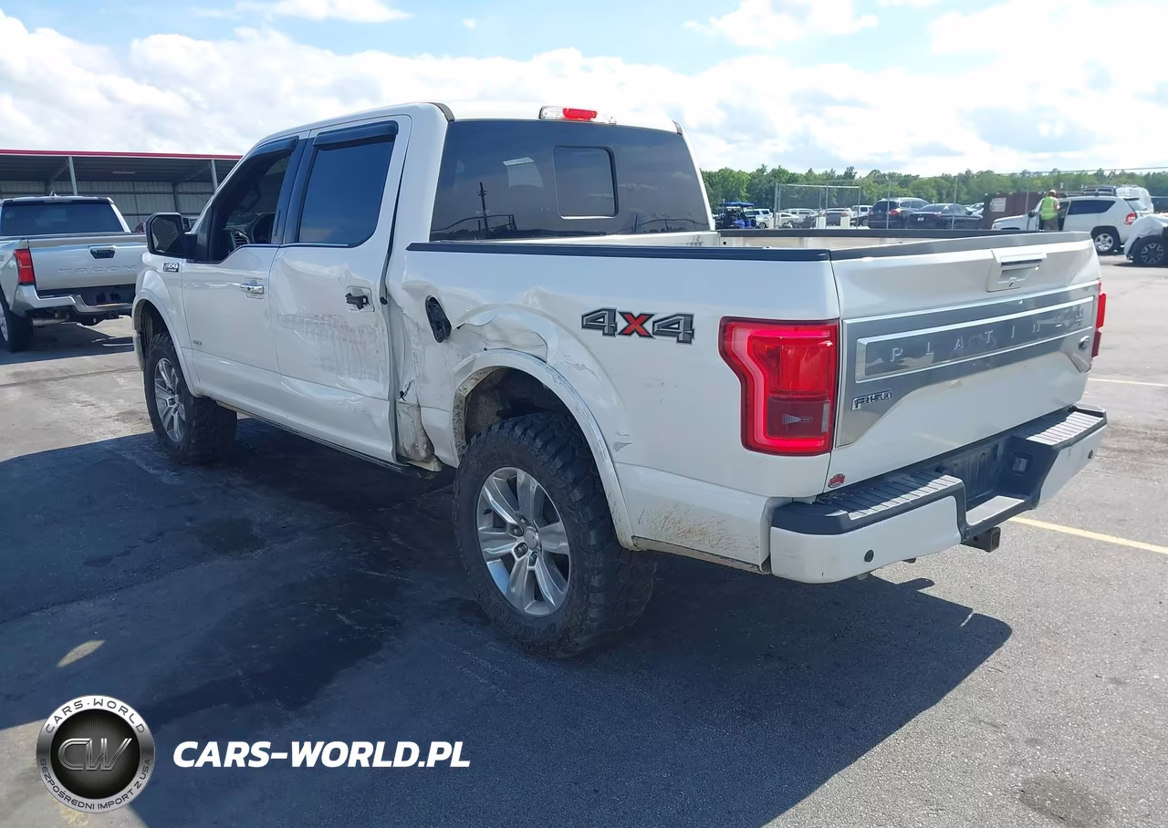 2015 Ford F-150 Platinum VIN:1FTEW1EG0FFA92121 - 3