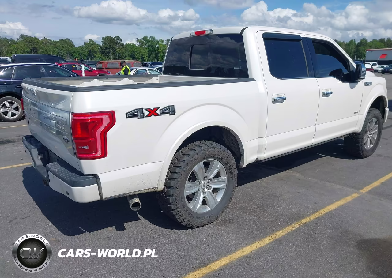 2015 Ford F-150 Platinum VIN:1FTEW1EG0FFA92121 - 4