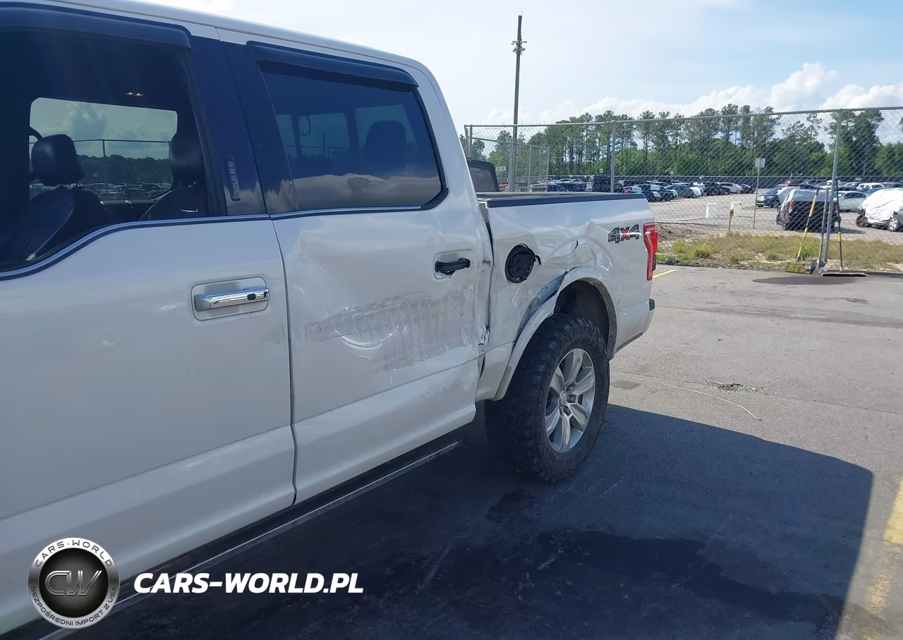 2015 Ford F-150 Platinum VIN:1FTEW1EG0FFA92121 - 6
