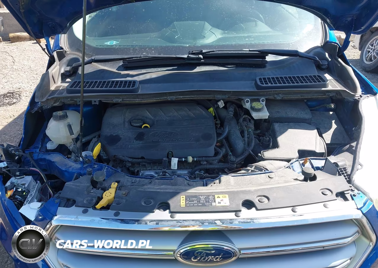 2017 Ford Escape Se VIN:1FMCU0GD4HUD27026 - 10