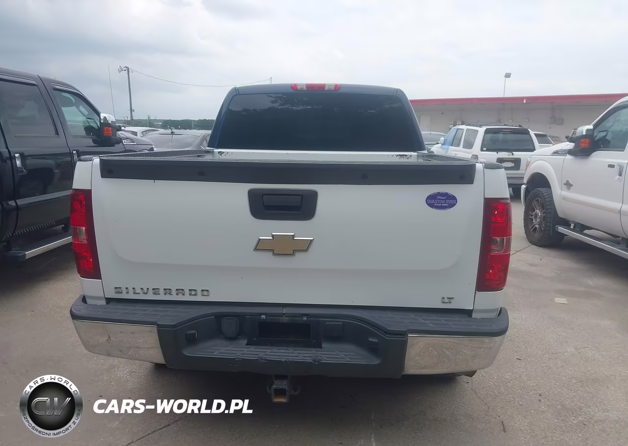 2010 Chevrolet Silverado 1500 Lt VIN:1GCSCSE09AZ152229 - 16