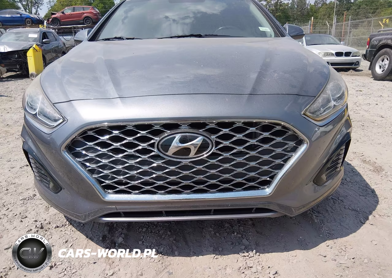 2019 Hyundai Sonata Sel VIN:5NPE34AF5KH779781 - 12