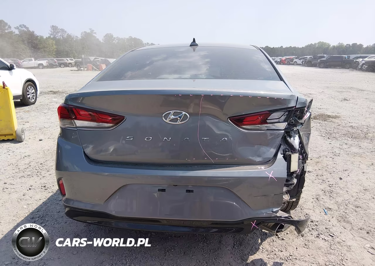 2019 Hyundai Sonata Sel VIN:5NPE34AF5KH779781 - 16