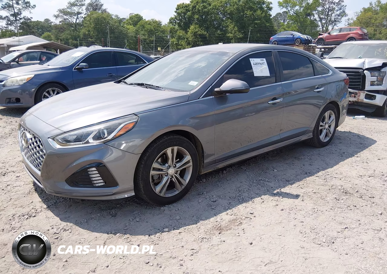 2019 Hyundai Sonata Sel VIN:5NPE34AF5KH779781 - 2