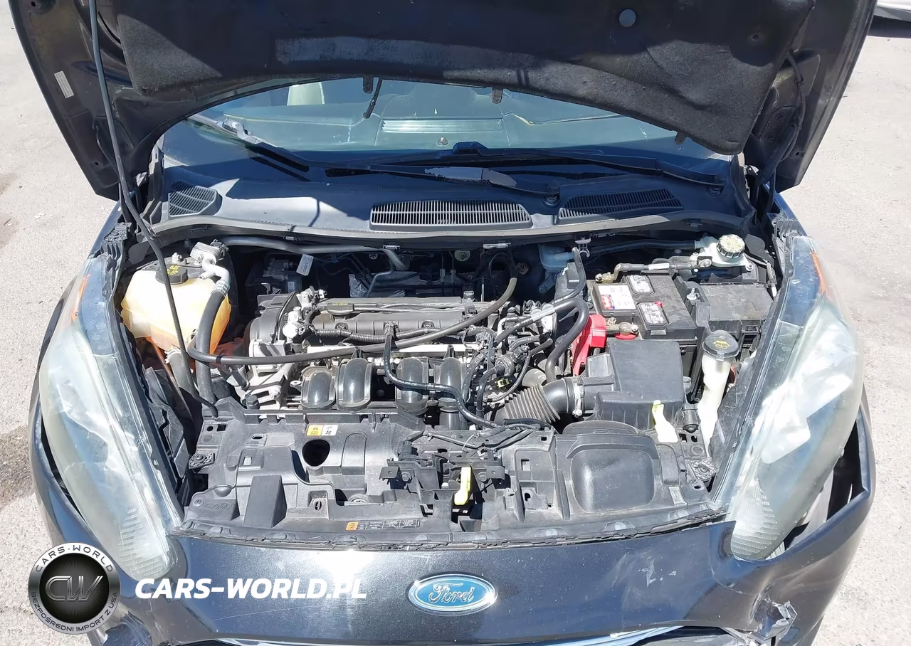2015 Ford Fiesta Se VIN:3FADP4BJ0FM158974 - 10