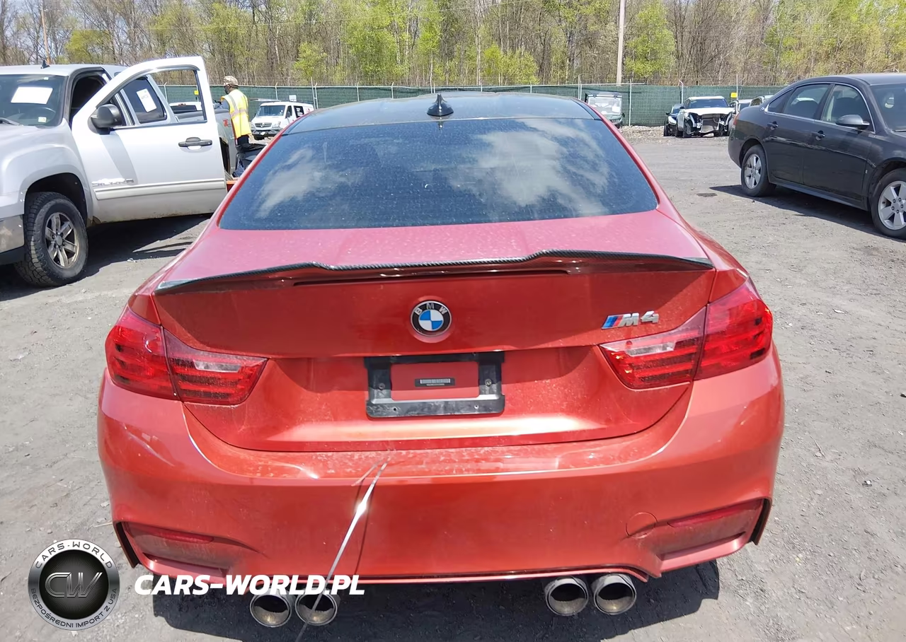2015 BMW M4 VIN:WBS3R9C52FK330968 - 16
