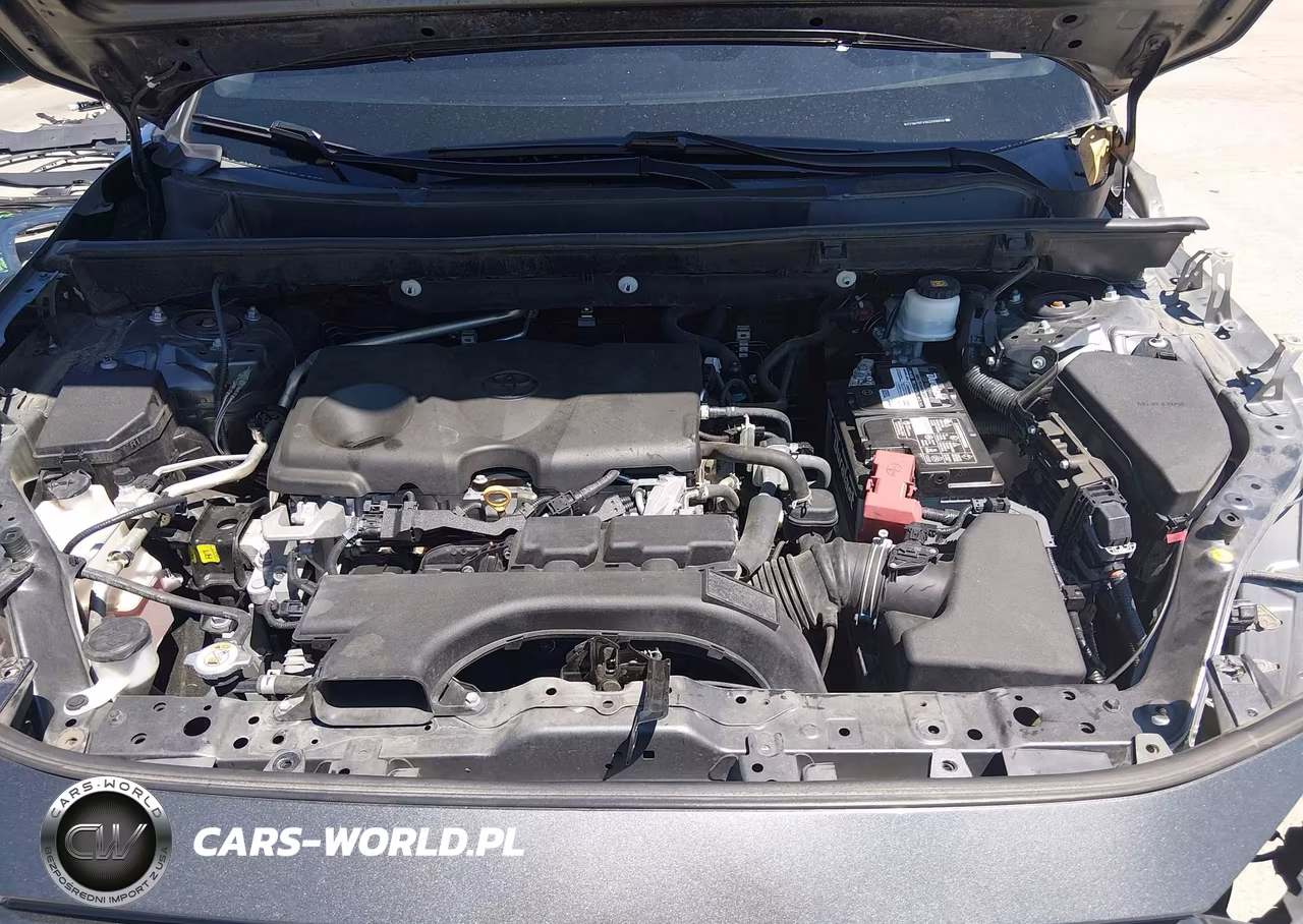 2019 Toyota Rav4 Xle VIN:2T3W1RFVXKC008606 - 10