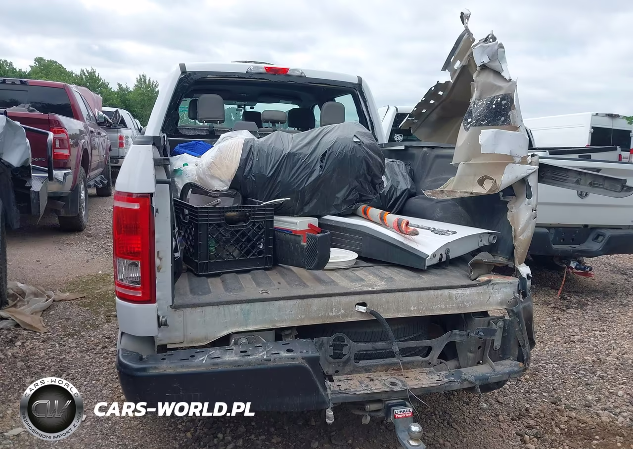 2015 Ford F-150 Xl VIN:1FTEW1CF0FKE48634 - 17