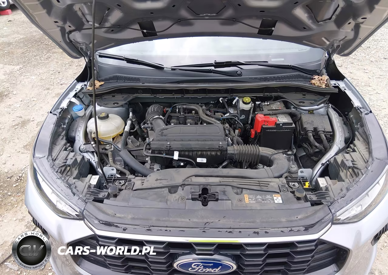 2023 Ford Escape St-Line VIN:1FMCU0MN6PUB13876 - 10