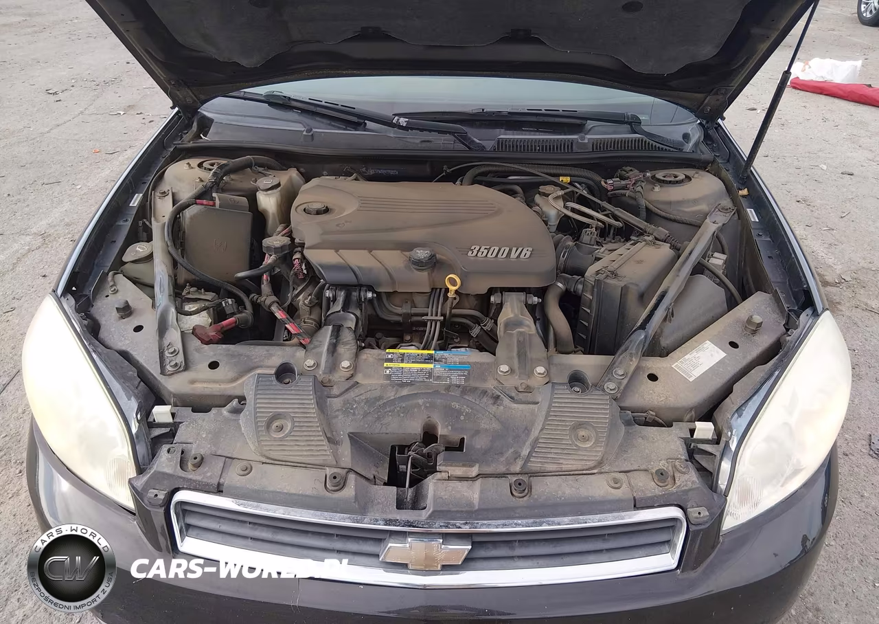 2009 Chevrolet Impala Lt VIN:2G1WT57N191192071 - 10