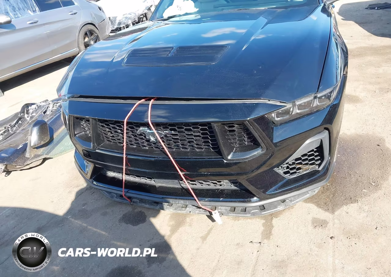 2024 Ford Mustang Gt Premium VIN:1FAGP8FF8R5120171 - 18