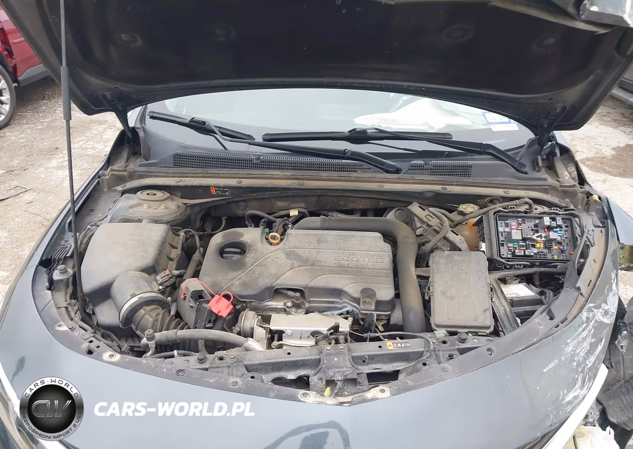 2019 Chevrolet Malibu Lt VIN:1G1ZD5ST3KF202775 - 10