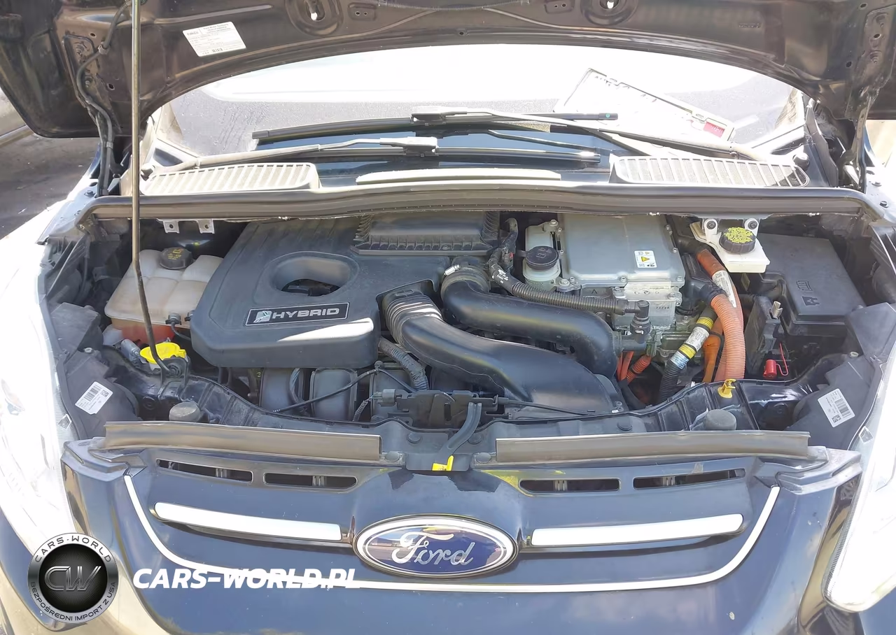 2018 Ford C-Max Hybrid Se VIN:1FADP5AU5JL100497 - 10