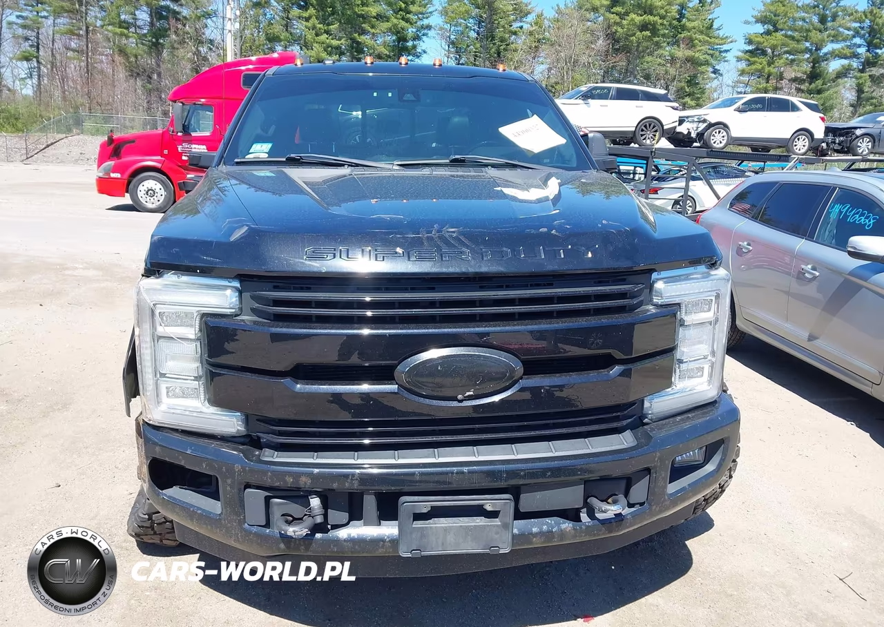2017 Ford F-350 Platinum VIN:1FT8W3BT9HEC59336 - 20