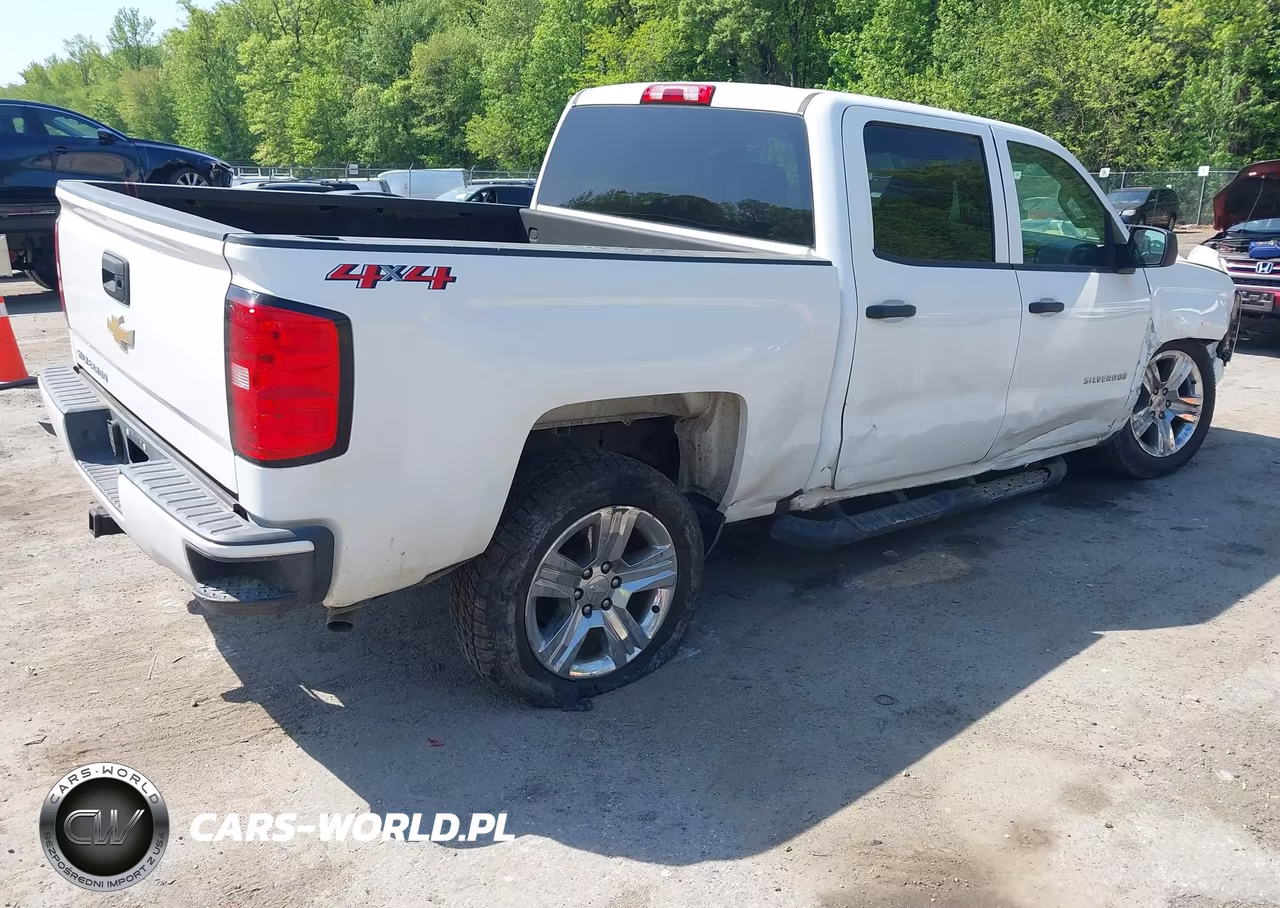 2018 CHEVROLET SILVERADO K1500 CUSTOM VIN:3GCUKPEC7JG627041 - 4