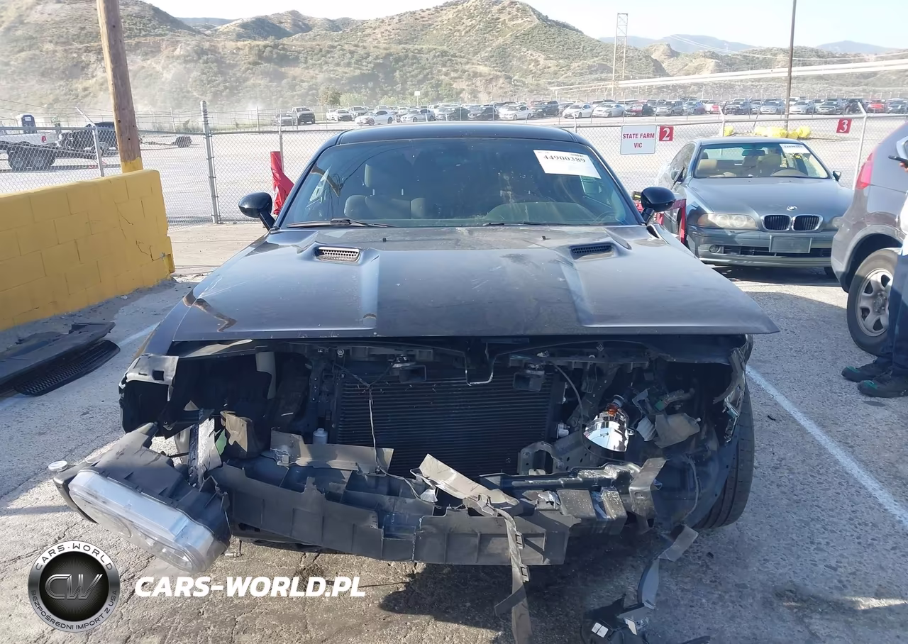 2014 Dodge Challenger Sxt VIN:2C3CDYAG0EH195715 - 12