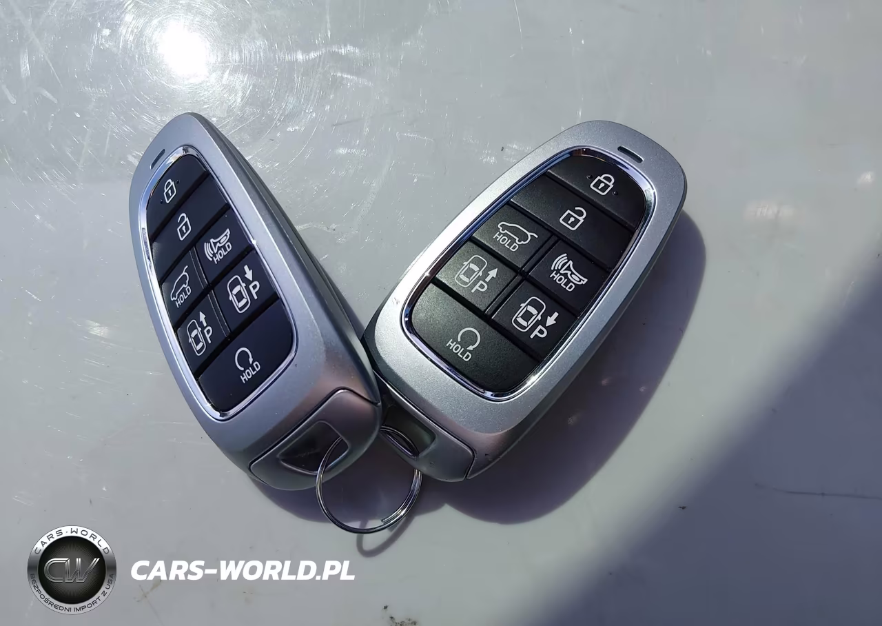 2025 Hyundai Palisade Calligraphy Night Edition VIN:KM8R7DGE9SU948898 - 11