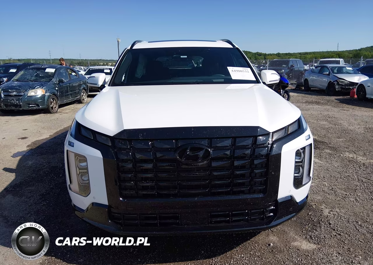 2025 Hyundai Palisade Calligraphy Night Edition VIN:KM8R7DGE9SU948898 - 12