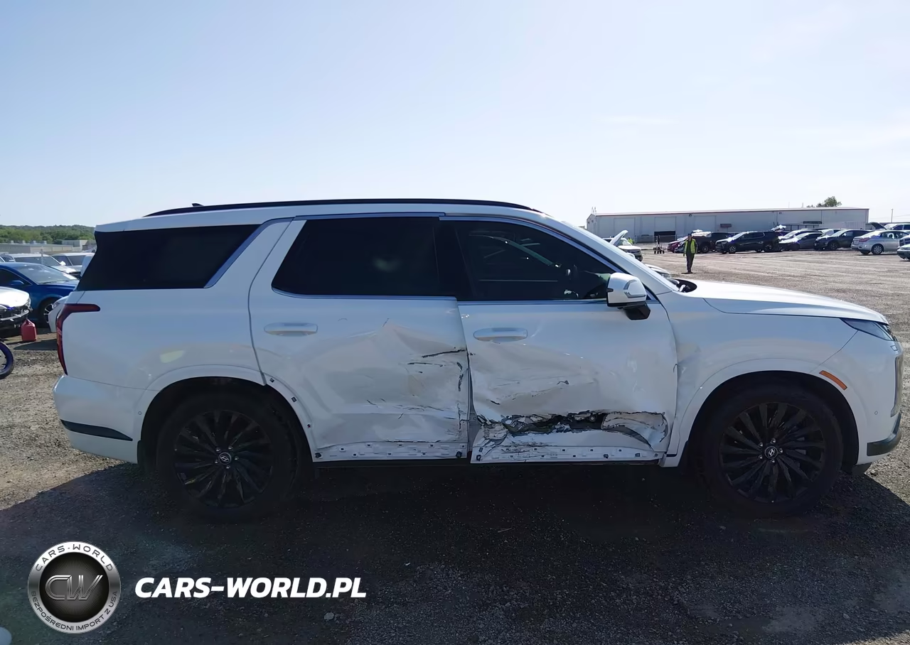 2025 Hyundai Palisade Calligraphy Night Edition VIN:KM8R7DGE9SU948898 - 13