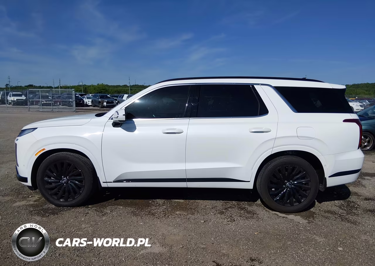 2025 Hyundai Palisade Calligraphy Night Edition VIN:KM8R7DGE9SU948898 - 14