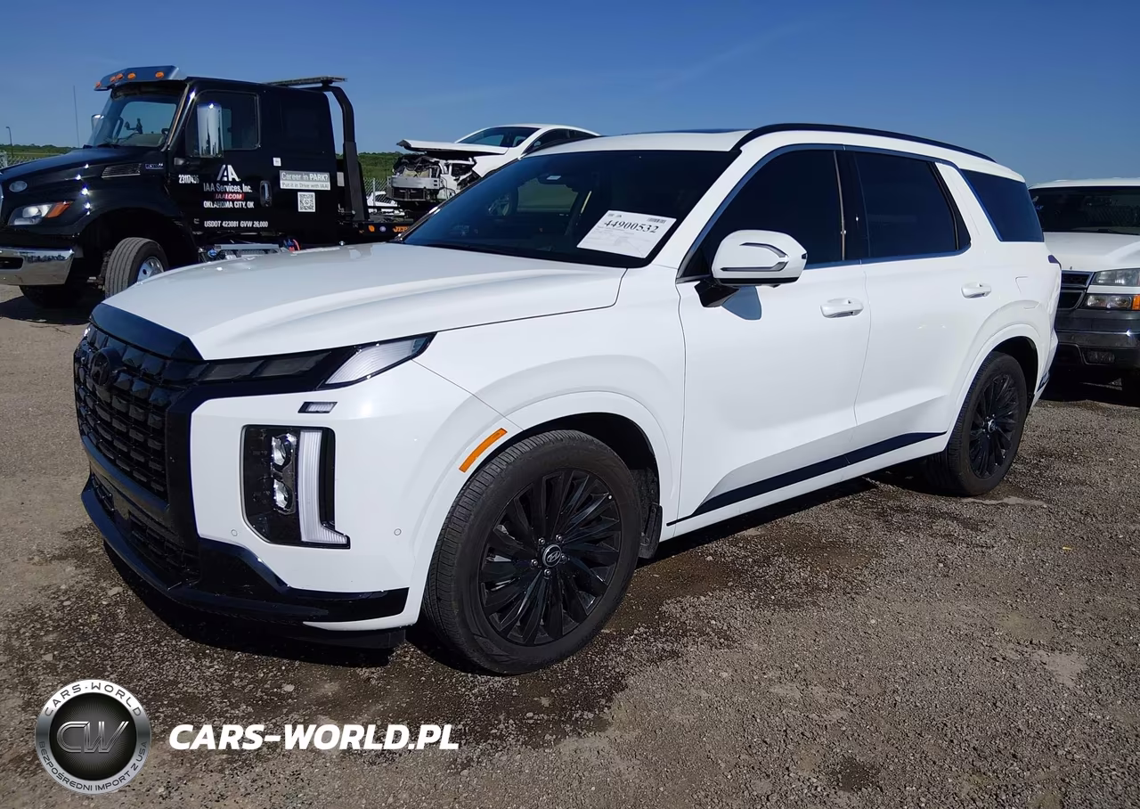 2025 Hyundai Palisade Calligraphy Night Edition VIN:KM8R7DGE9SU948898 - 2
