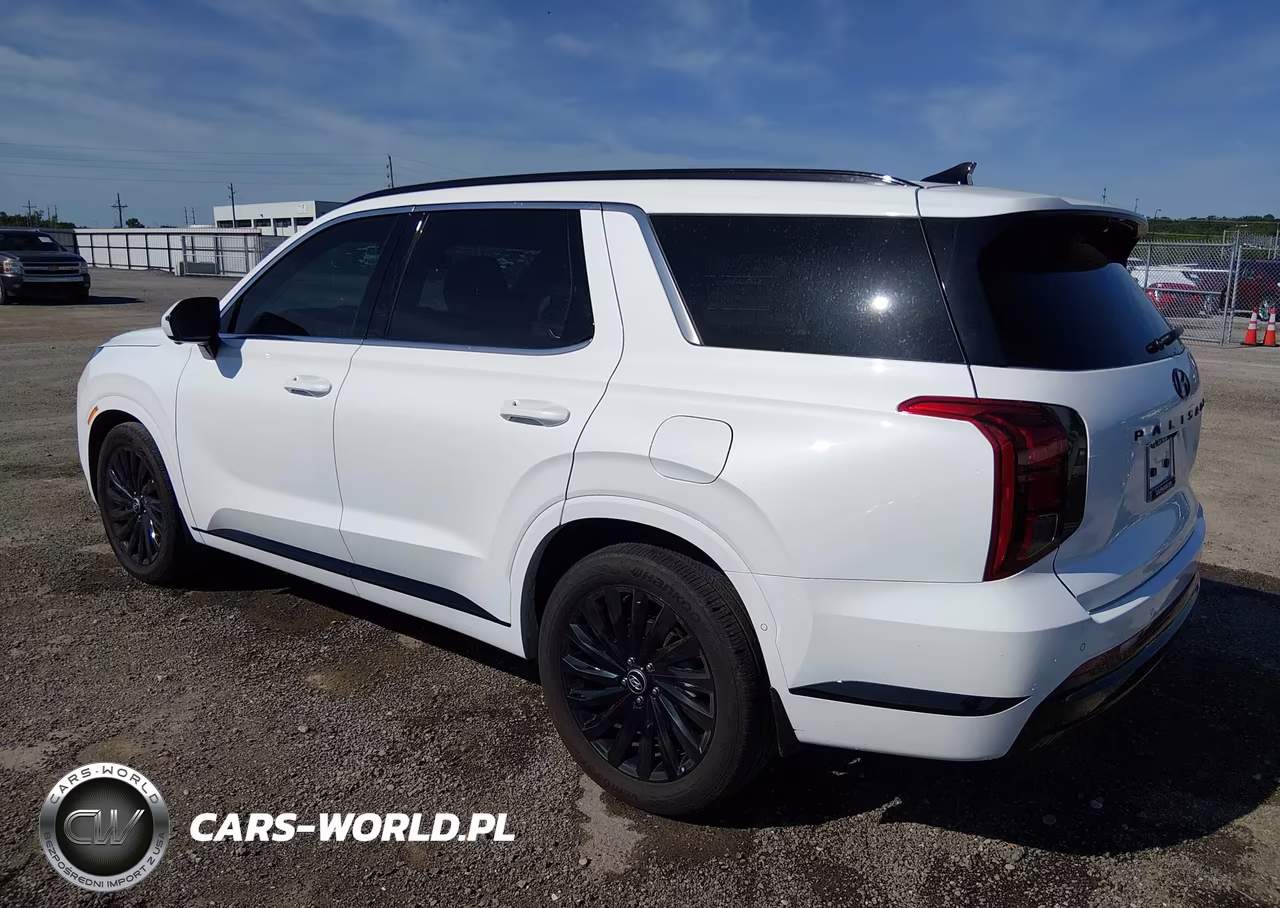 2025 Hyundai Palisade Calligraphy Night Edition VIN:KM8R7DGE9SU948898 - 3