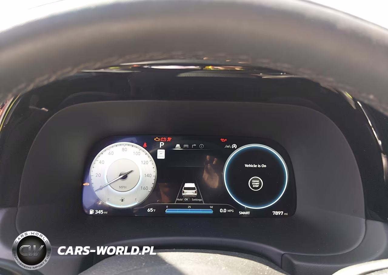 2025 Hyundai Palisade Calligraphy Night Edition VIN:KM8R7DGE9SU948898 - 7