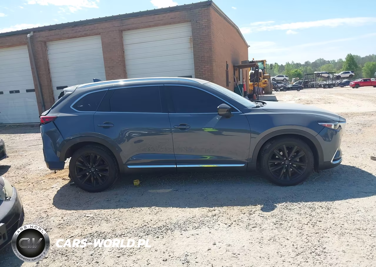 2022 Mazda Cx-9 Carbon Edition VIN:JM3TCBDY7N0610380 - 13