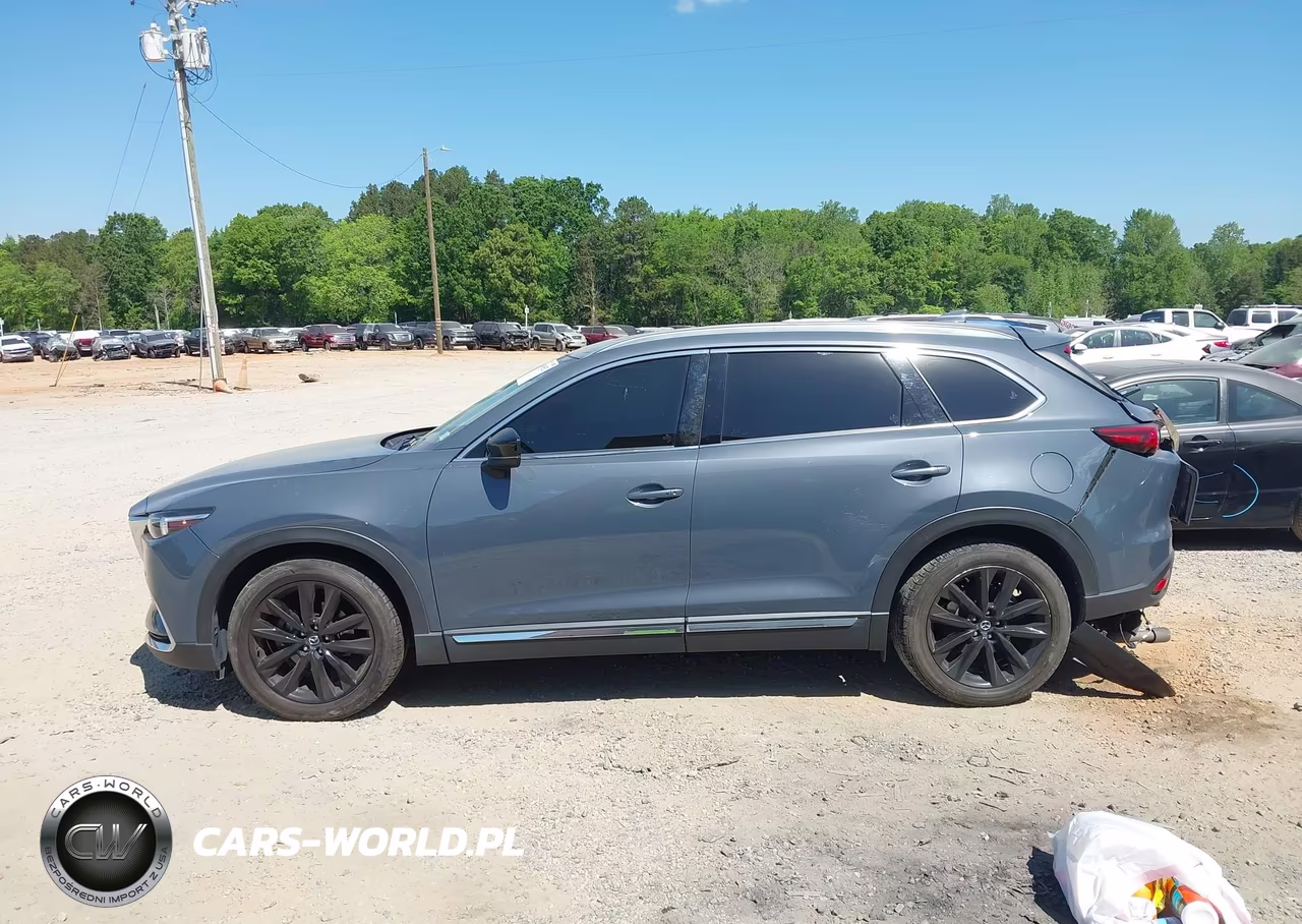 2022 Mazda Cx-9 Carbon Edition VIN:JM3TCBDY7N0610380 - 14