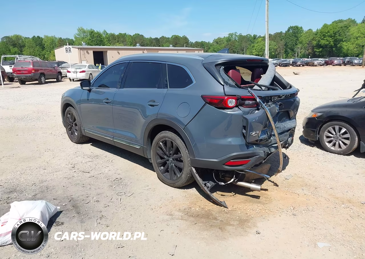 2022 Mazda Cx-9 Carbon Edition VIN:JM3TCBDY7N0610380 - 3
