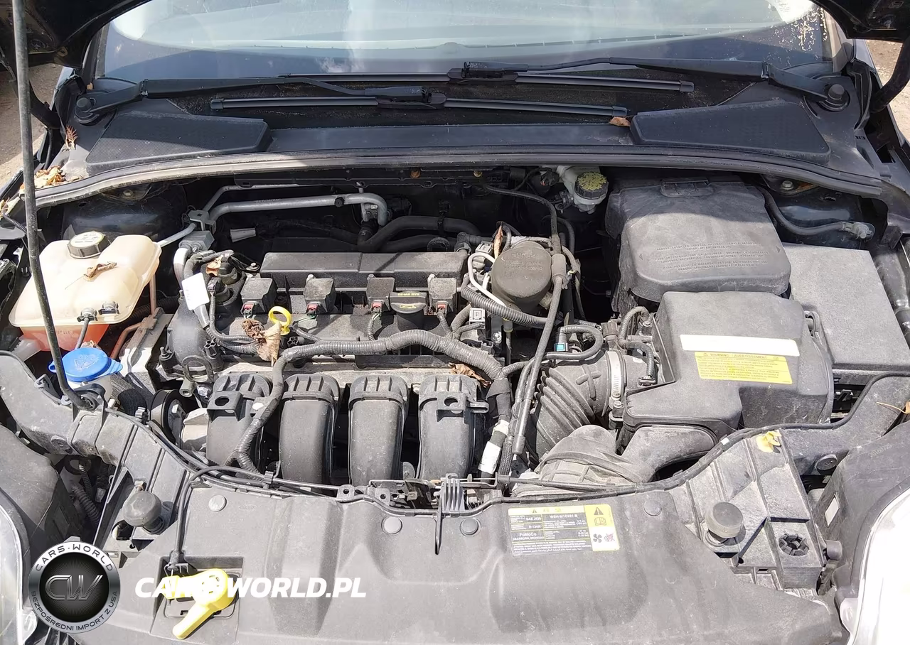 2013 Ford Focus Se VIN:1FADP3F22DL168627 - 10