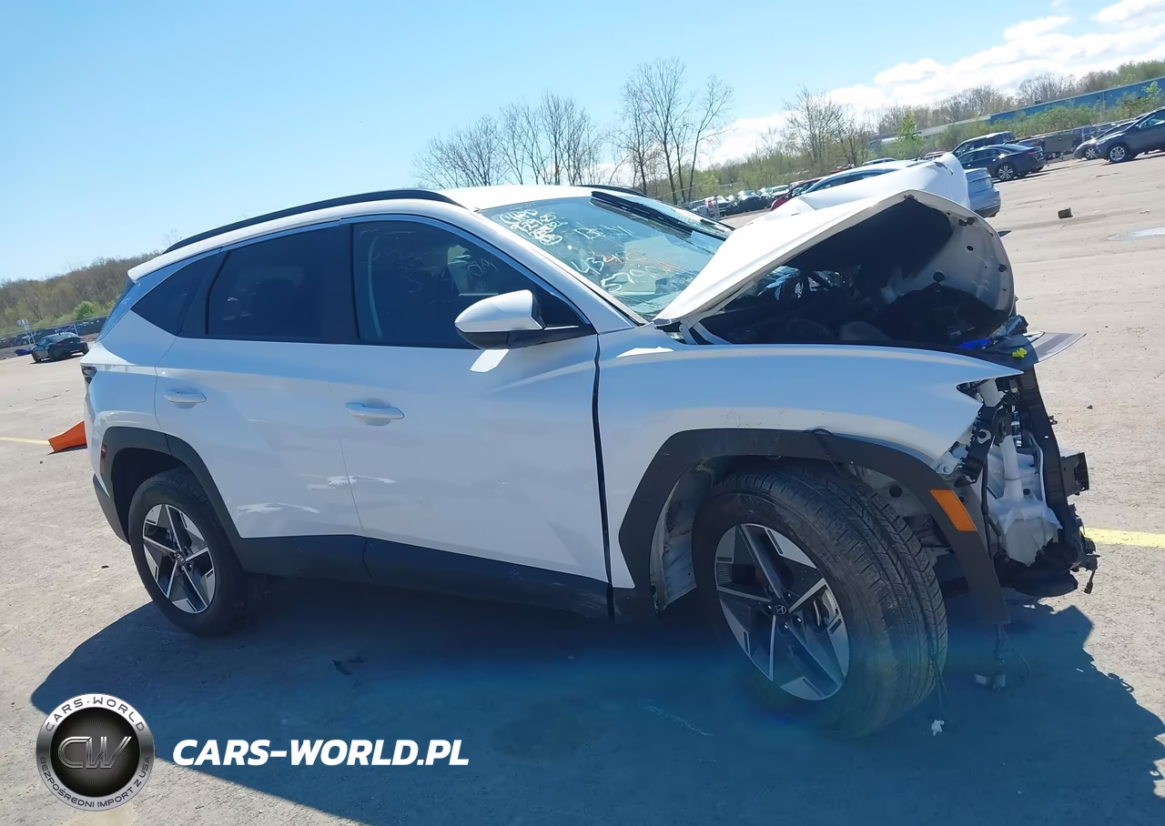2025 Hyundai Tucson Sel VIN:5NMJBCDE7SH483625 - 13