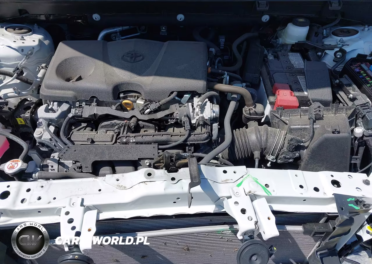 2024 Toyota Rav4 Xle VIN:2T3P1RFV8RW485029 - 10