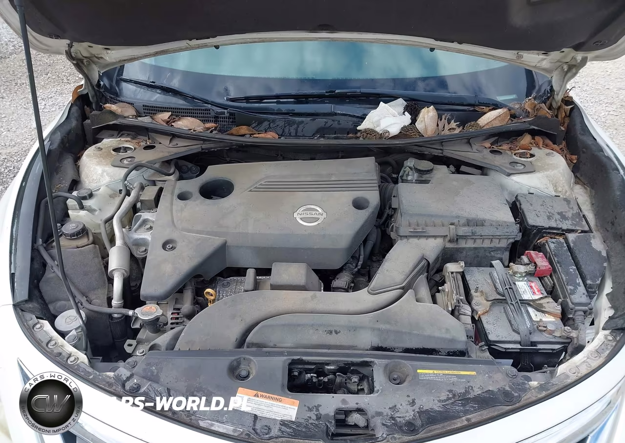 2013 Nissan Altima 2.5 Sv VIN:1N4AL3AP8DC901698 - 10