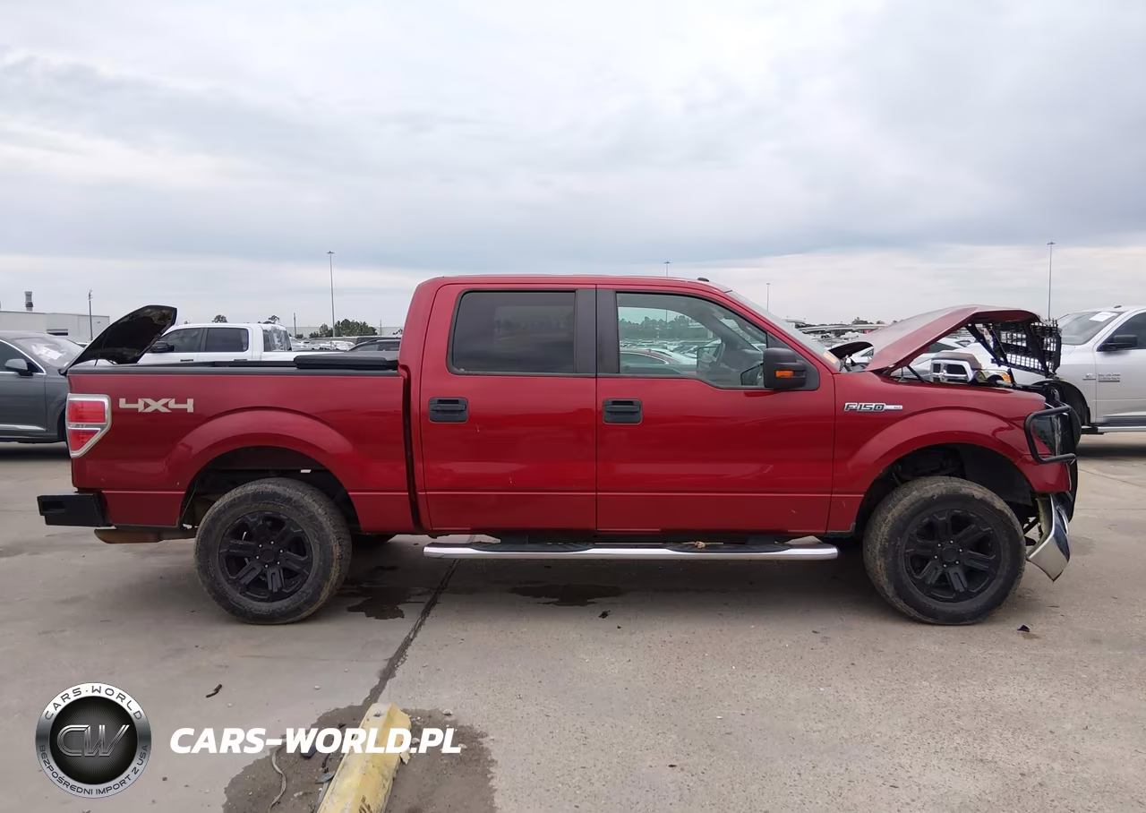2013 Ford F-150 Xlt VIN:1FTFW1EF6DFA21692 - 14