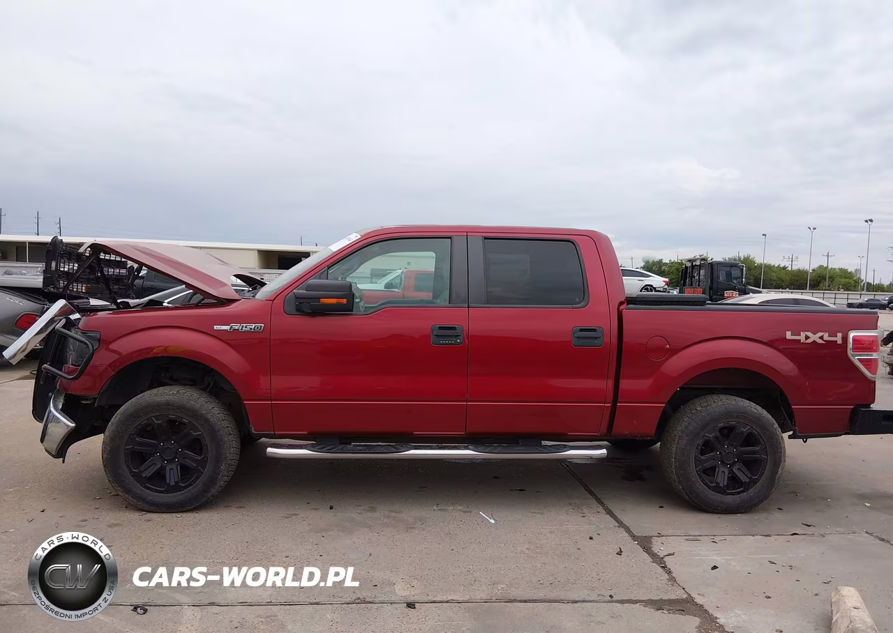 2013 Ford F-150 Xlt VIN:1FTFW1EF6DFA21692 - 15