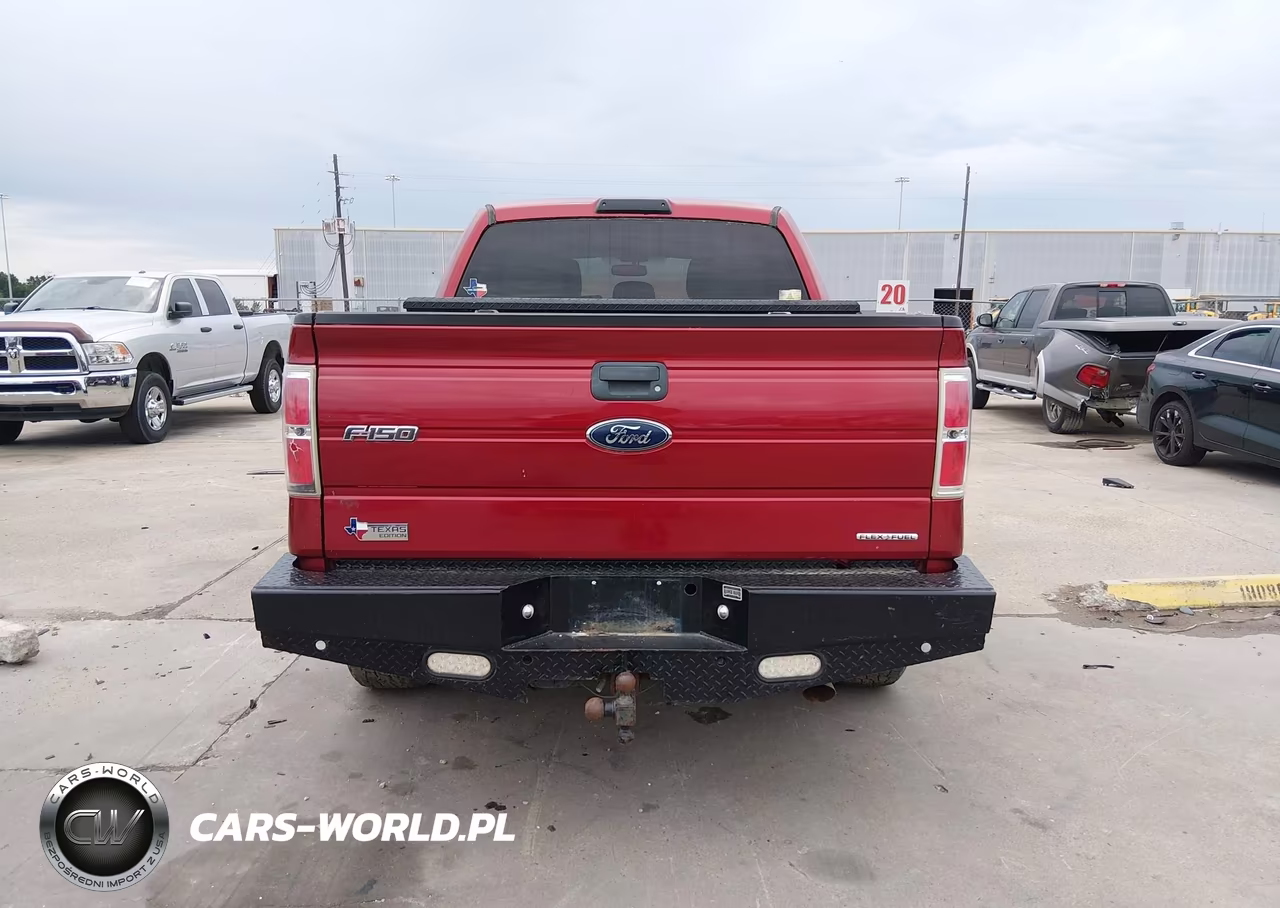 2013 Ford F-150 Xlt VIN:1FTFW1EF6DFA21692 - 17