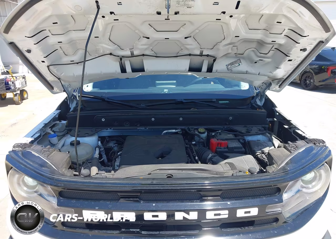 2021 Ford Bronco Sport Outer Banks VIN:3FMCR9C67MRA66621 - 10