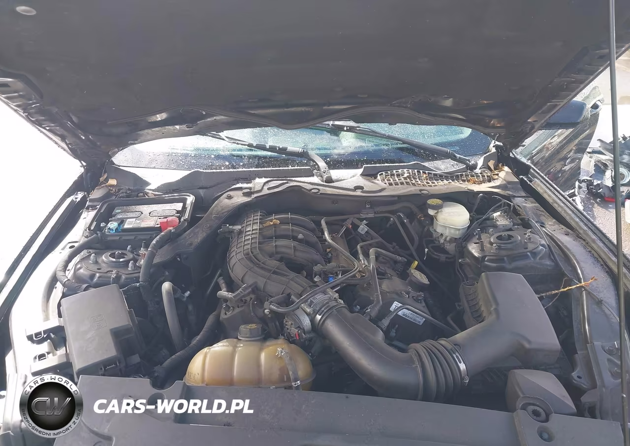 2015 Ford Mustang V6 VIN:1FA6P8AM9F5409055 - 10