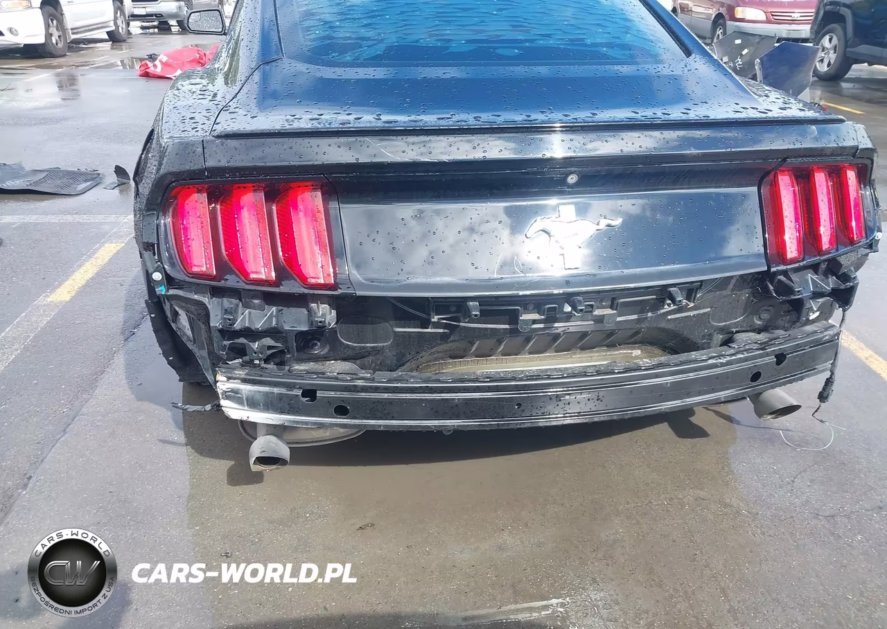 2015 Ford Mustang V6 VIN:1FA6P8AM9F5409055 - 18