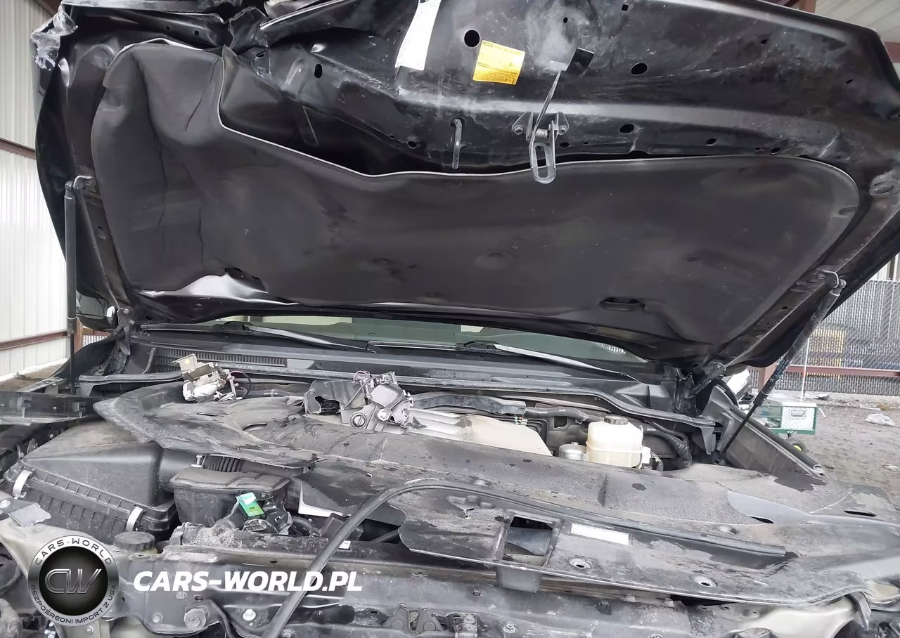 2019 Lexus Lx 570 Two-Row VIN:JTJHY7AX0K4309850 - 8