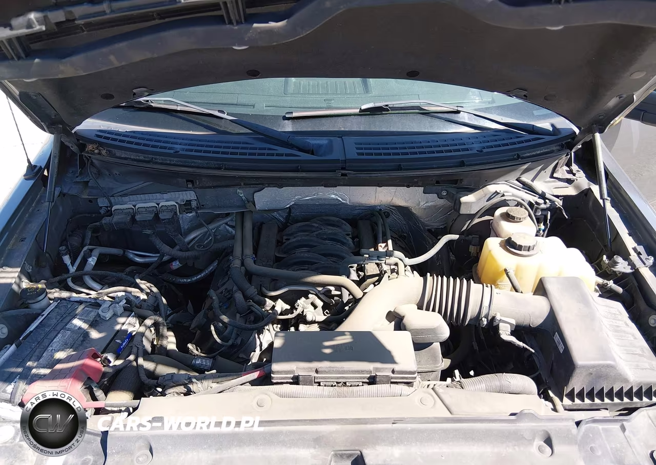 2013 Ford F-150 Stx VIN:1FTFX1EF1DKF14488 - 10